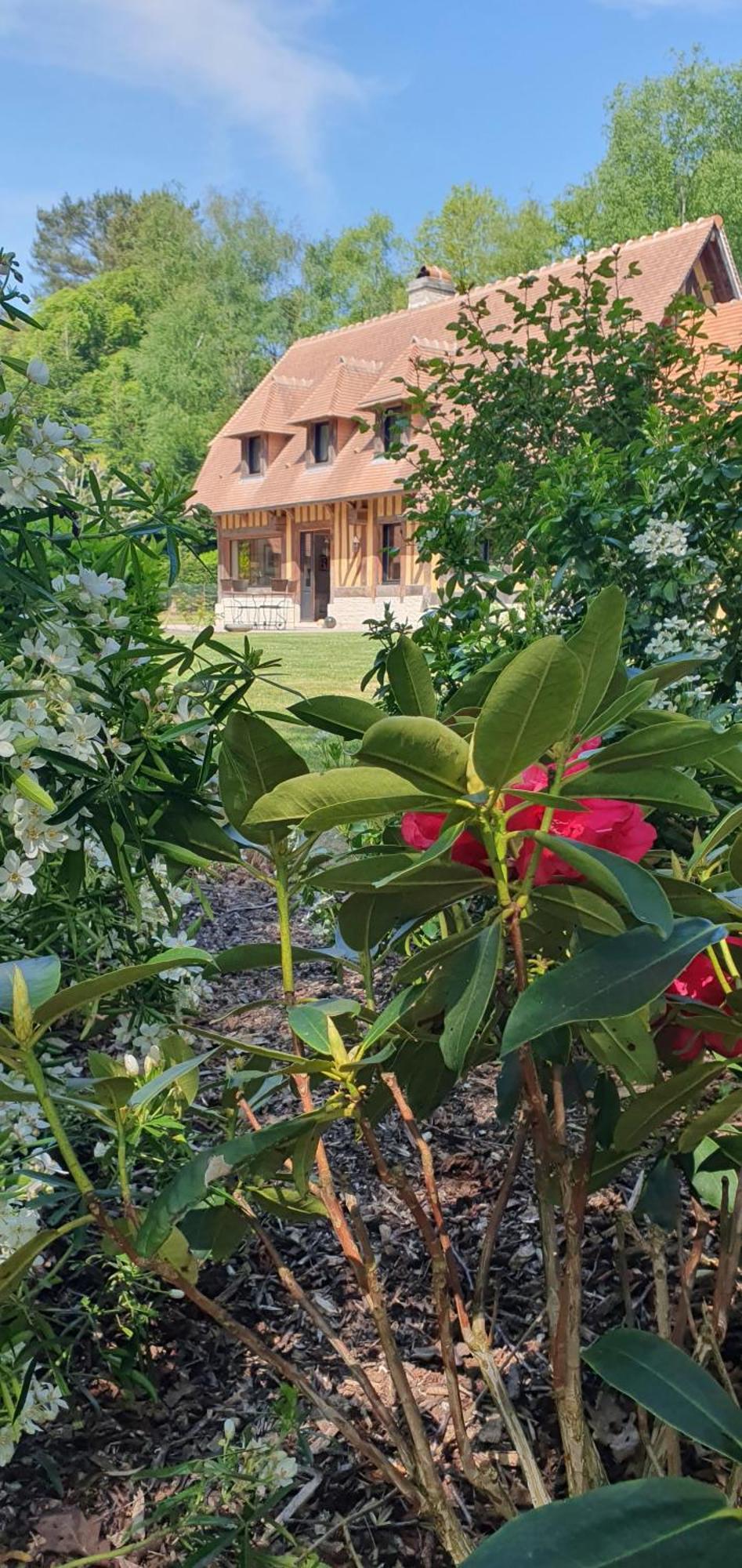 Le Clos Joly 14 Saint-Gâtien-des-Bois Zewnętrze zdjęcie